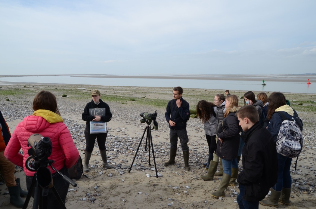 Sortie scolaire lycée baie de somme 